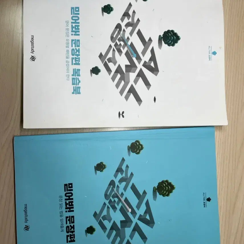 [BUNJANG] Jo Jung Sik Believe in Me Phrasebook + Review Book / 조정식 믿어봐 문장편+복습북