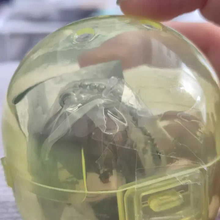 [BUNJANG] Showko Keyring / 쇼코 키링 가챠