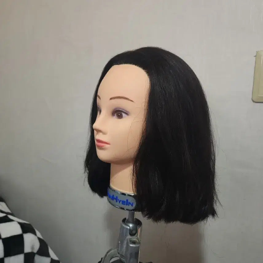 [BUNJANG] Isadora Wig / 통가발 이사도라 통가발 2개 급처로 팝니다!