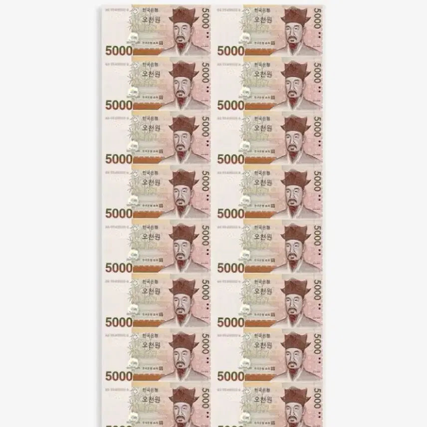 [SOLD OUT] 오천원 연결형 전지 화폐