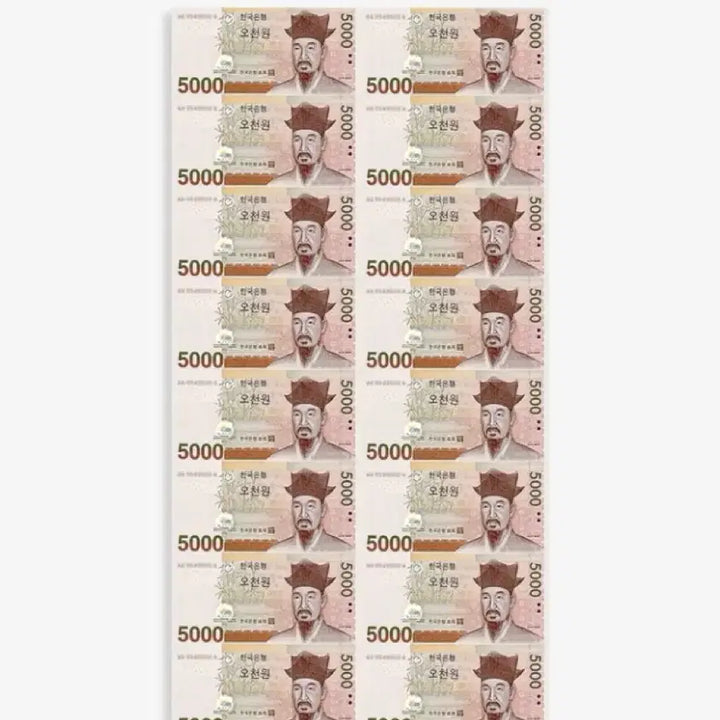 [SOLD OUT] 오천원 연결형 전지 화폐