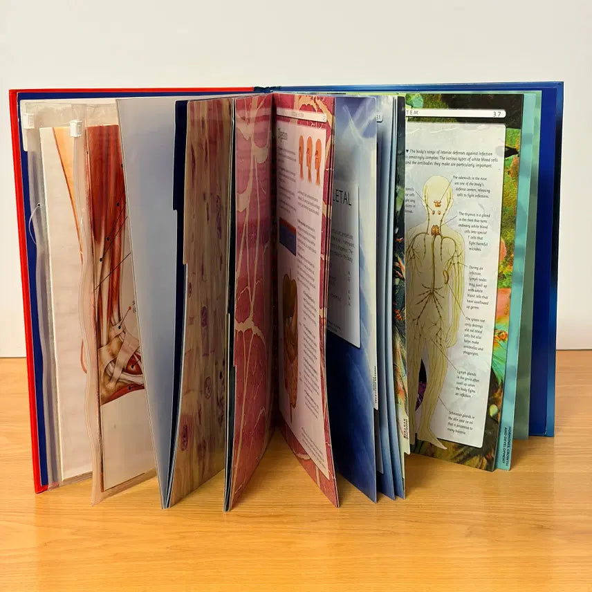 [BUNJANG] Human Body CD & Poster Bundle Set / Human Body외 총3권 일괄판매(개별구매OK) CD 1개 포스터2매