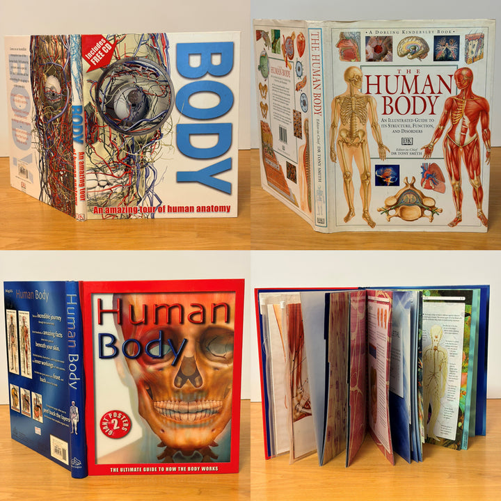 [BUNJANG] Human Body CD & Poster Bundle Set / Human Body외 총3권 일괄판매(개별구매OK) CD 1개 포스터2매
