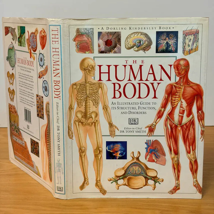 [BUNJANG] Human Body CD & Poster Bundle Set / Human Body외 총3권 일괄판매(개별구매OK) CD 1개 포스터2매