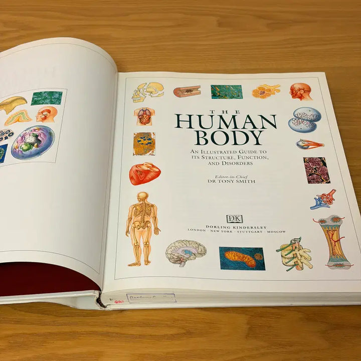[BUNJANG] Human Body CD & Poster Bundle Set / Human Body외 총3권 일괄판매(개별구매OK) CD 1개 포스터2매