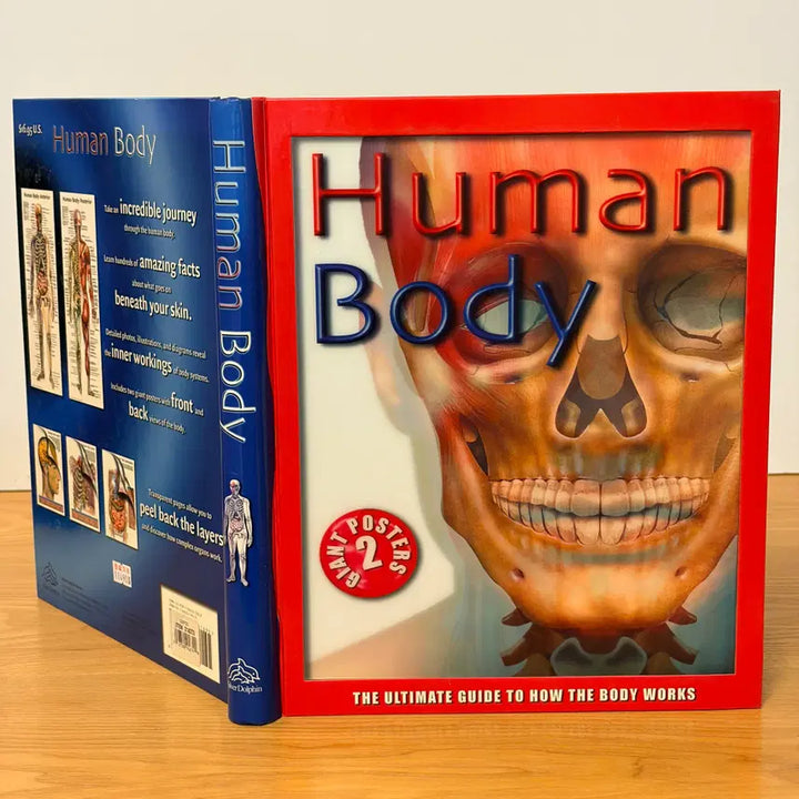 [BUNJANG] Human Body CD & Poster Bundle Set / Human Body외 총3권 일괄판매(개별구매OK) CD 1개 포스터2매