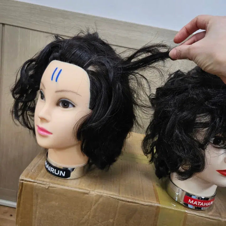 [BUNJANG] Wig Bundle Set (5) / 시험가발, 미용가발, 인모가발 일괄(5)