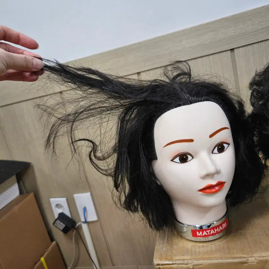 [BUNJANG] Wig Bundle Set (6) / 시험가발, 미용가발, 인모가발 일괄(6)