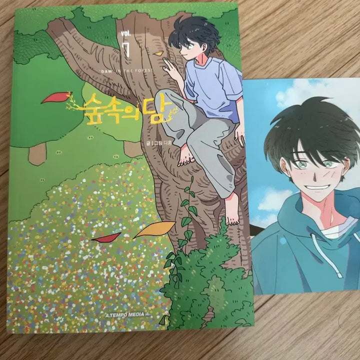 [BUNJANG] Forest of Dam Book Bundle Set (Includes First Edition Postcards) / 숲속의담 책 팝니다 (3,4,7,8,9는 초판 엽서포함)일괄 우선,할인!