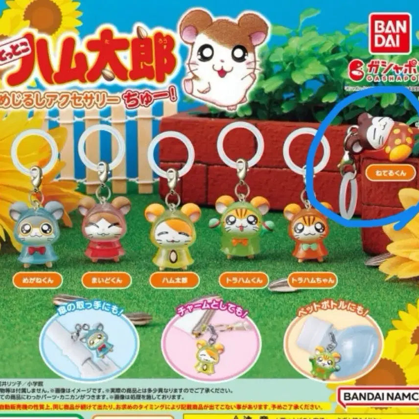 [BUNJANG] Hamutaro 2nd Coolkool Gacha Keyring / (미개봉) 방가방가 햄토리 메지루시 2탄 쿨쿨이 가챠 키링