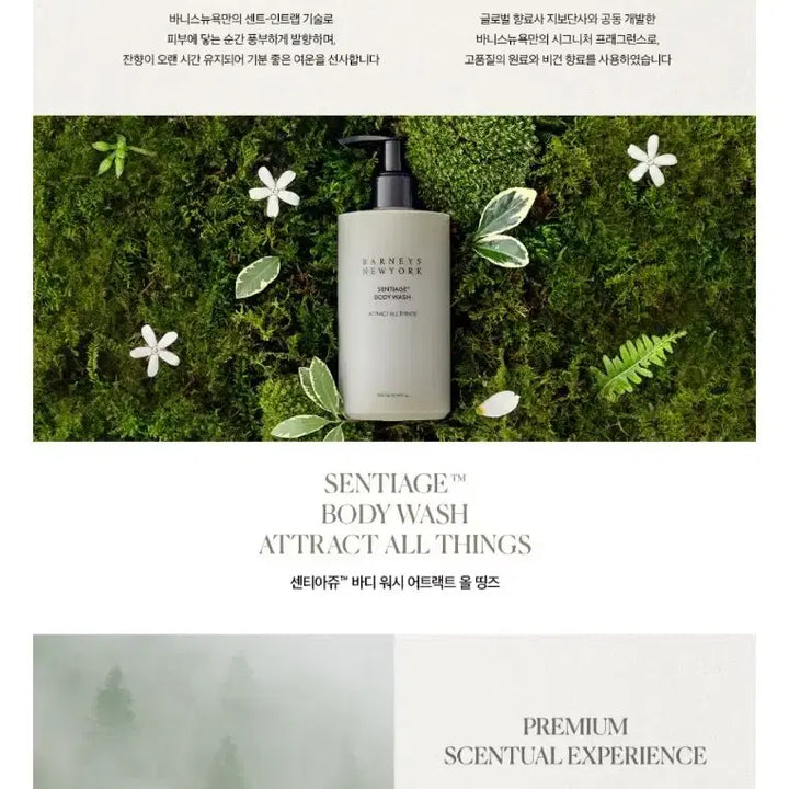 [BUNJANG] Sentience Body Lotion & Wash Set / 바니스뉴욕 센티에이지 바디로션/워시 세트