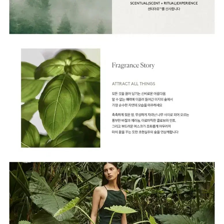 [BUNJANG] Sentience Body Lotion & Wash Set / 바니스뉴욕 센티에이지 바디로션/워시 세트