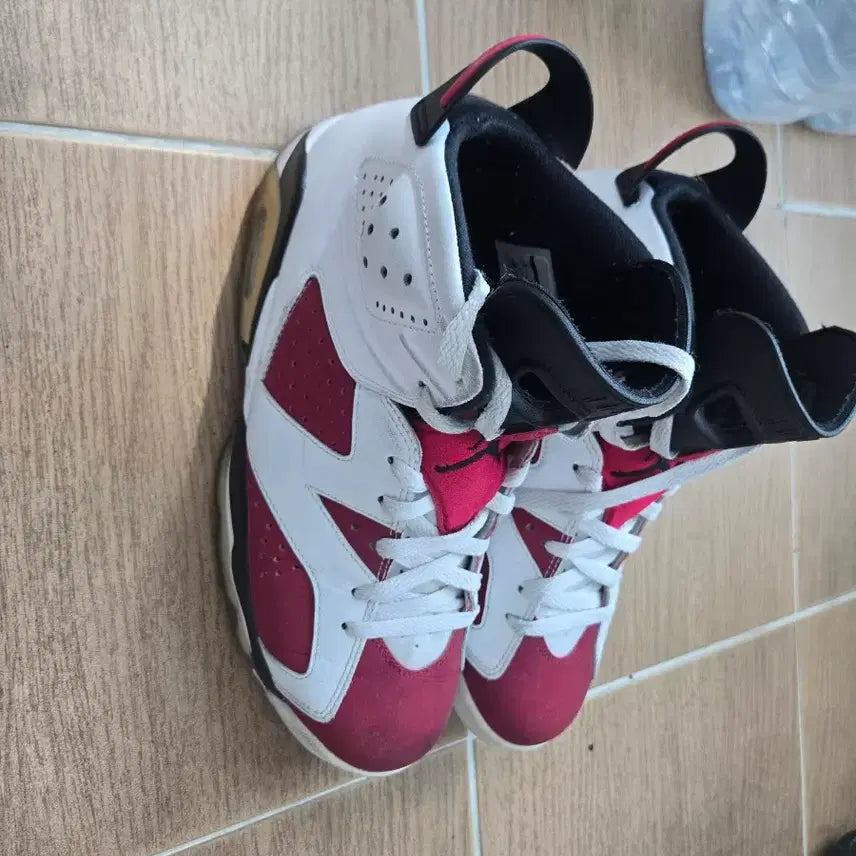 [BUNJANG] Nike Jordan 6 Carmine / 나이키 조던6 카마인