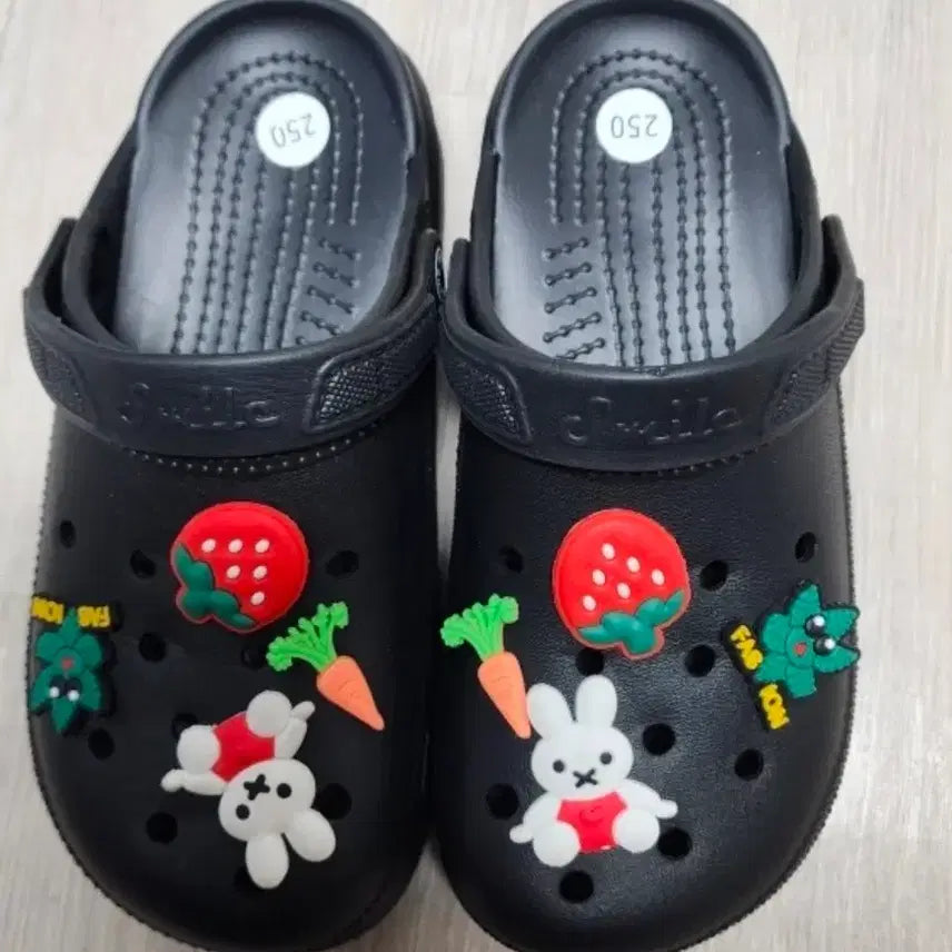 [BUNJANG] Crocs Style 250 / (새제품)크록스 스타일 250