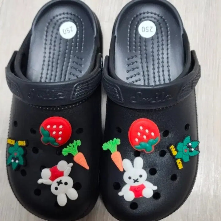 [BUNJANG] Crocs Style 250 / (새제품)크록스 스타일 250