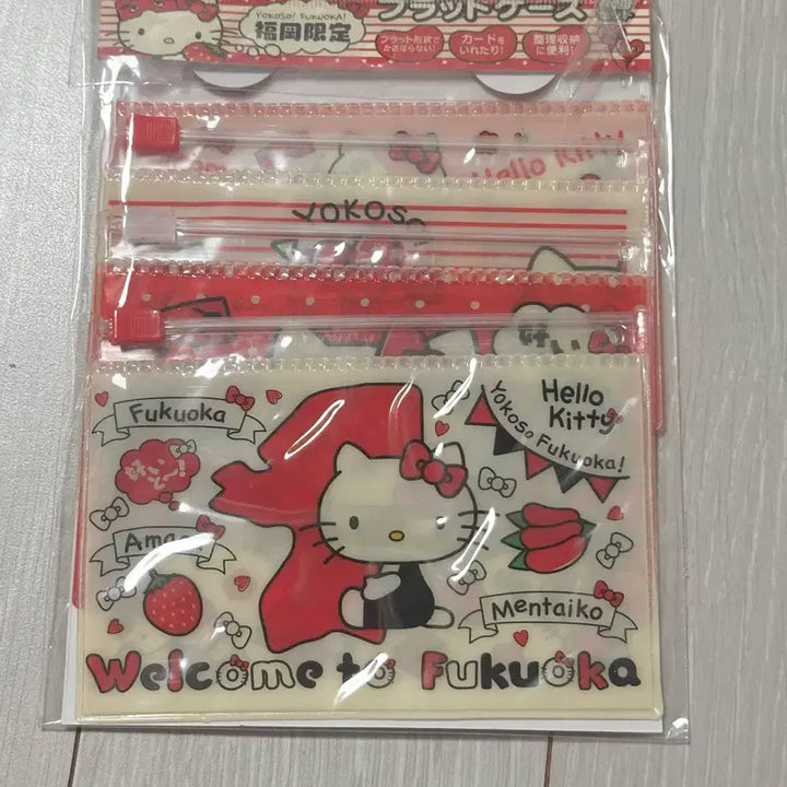 [BUNJANG] Hello Kitty Fukuoka Flat Case Set / 헬로키티 후쿠오카 플랫 케이스 4종 세트