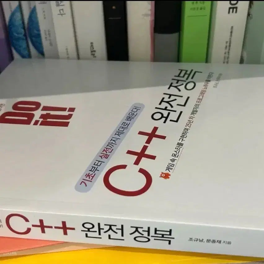 [BUNJANG] C++ Complete Mastery Programming Book / Do it C++ 완전 정복 프로그래밍 책