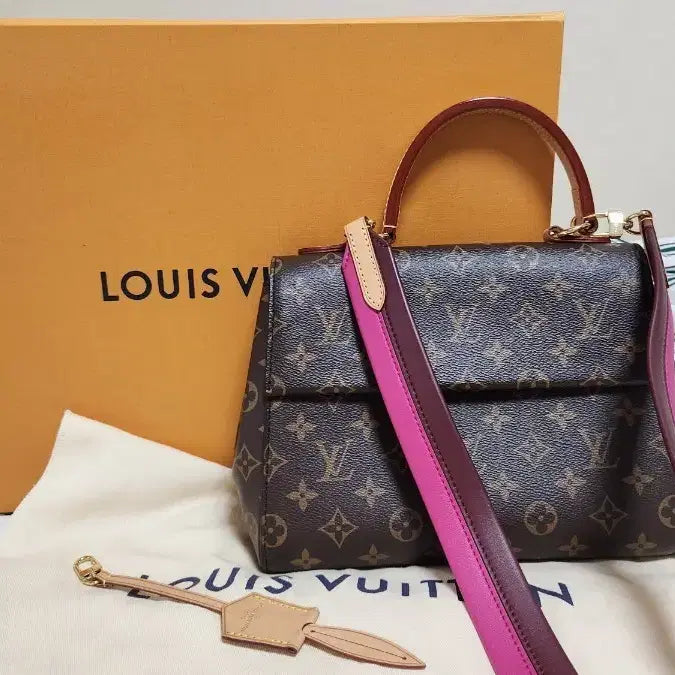 [BUNJANG] Louis Vuitton Cluny BB Bag / 루이비통 클루니 bb