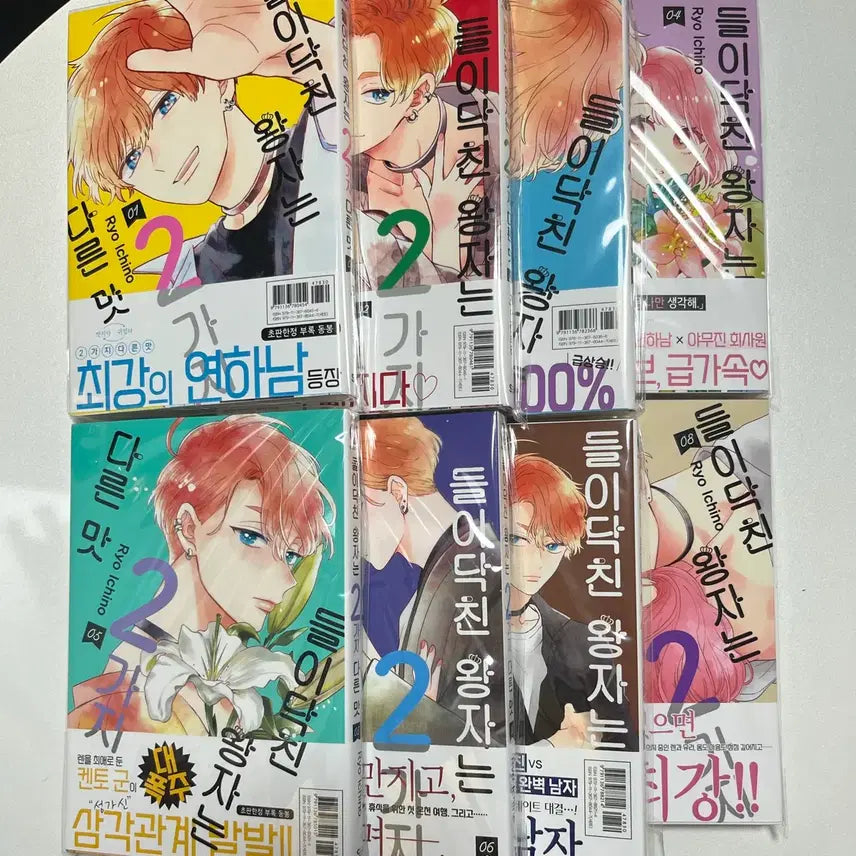 [BUNJANG] The Prince Flavored Candy Set / 들이닥친 왕자는 2가지 다른맛(1-13)