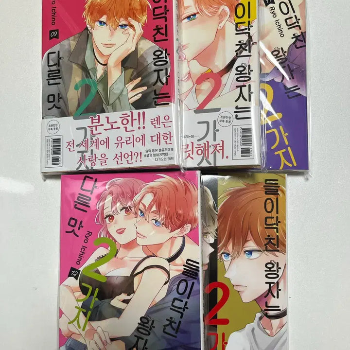 [BUNJANG] The Prince Flavored Candy Set / 들이닥친 왕자는 2가지 다른맛(1-13)