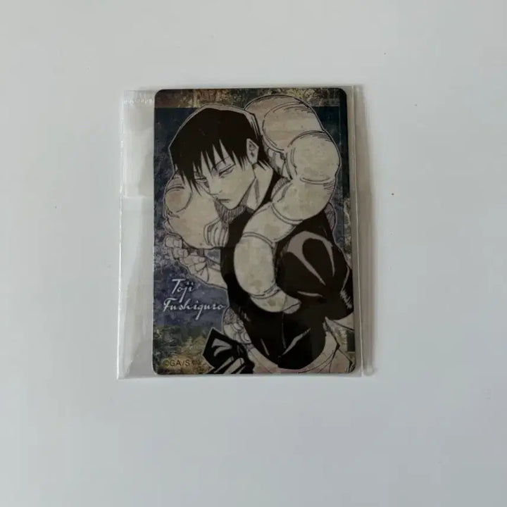 [BUNJANG] Jujutsu Kaisen Fushiguro Toji Magnet / 주술회전 후시구로 토우지 마그넷 원화