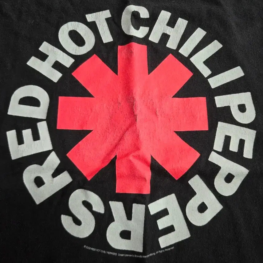 [BUNJANG] Red Hot Chili Peppers 2006 Band T-Shirt 2XL / 00s 레드핫칠리페퍼스 밴드티 [2xl]