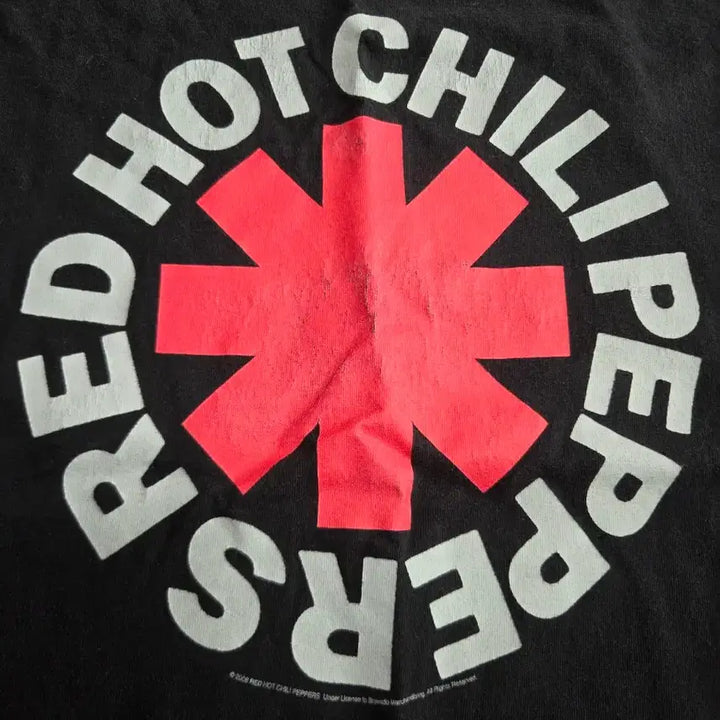 [BUNJANG] Red Hot Chili Peppers 2006 Band T-Shirt 2XL / 00s 레드핫칠리페퍼스 밴드티 [2xl]