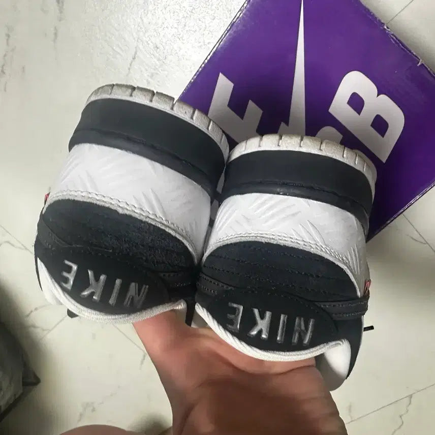 [BUNJANG] Nike SB Dunk Low Tightbooth 285 / 나이키  SB 덩크 로우 타이트부스 285