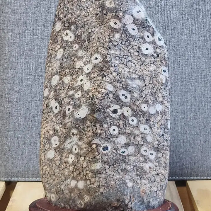 [BUNJANG] Yeongdeok Plum Blossom Stone / 영덕 매화공작석 꽃돌 수석