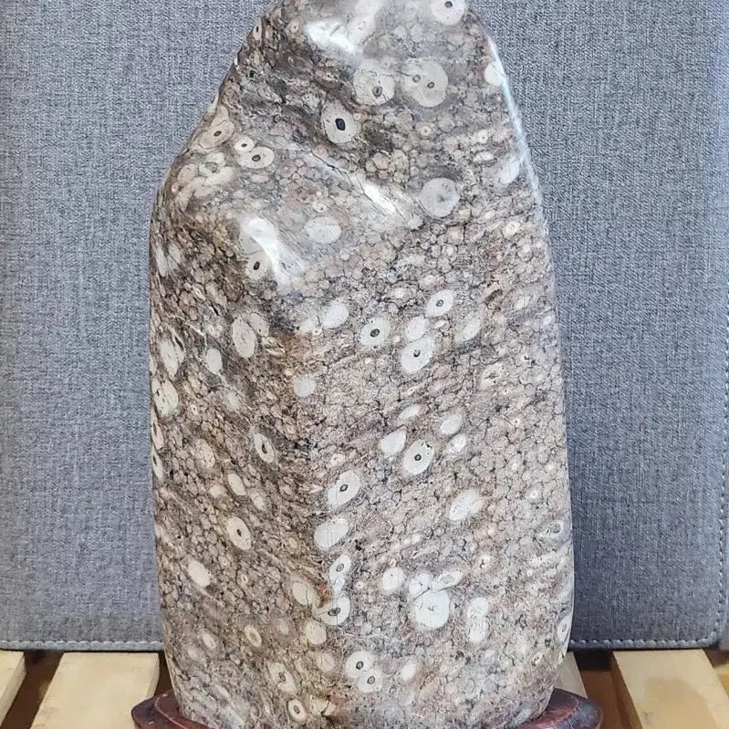 [BUNJANG] Yeongdeok Plum Blossom Stone / 영덕 매화공작석 꽃돌 수석