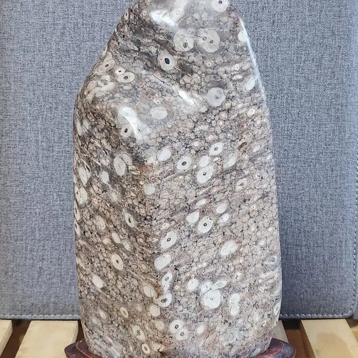 [BUNJANG] Yeongdeok Plum Blossom Stone / 영덕 매화공작석 꽃돌 수석