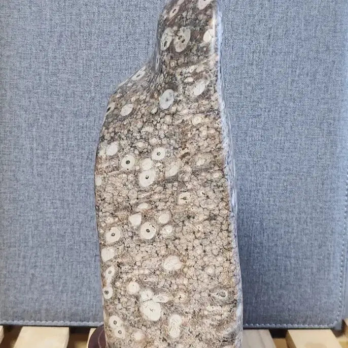 [BUNJANG] Yeongdeok Plum Blossom Stone / 영덕 매화공작석 꽃돌 수석
