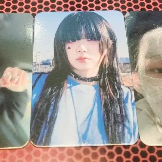 [SOLD OUT] SIKKO 식구 공식 쇼케이스 포카 양도합니다