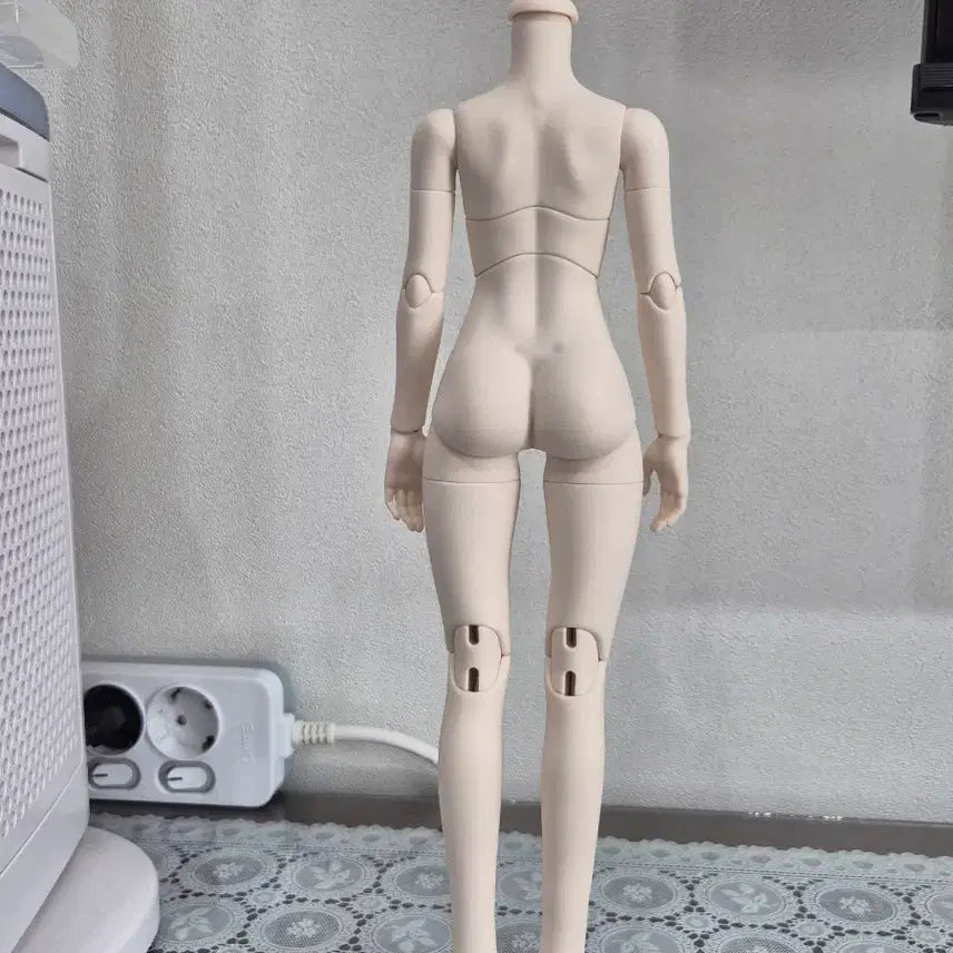 [BUNJANG] SOOKIVA MSD Doll Body / SOOKIVA 풀박스 미백 구체관절인형 msd 바디