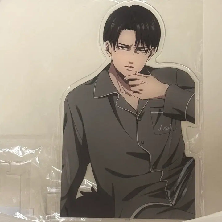 [BUNJANG] Attack on Titan Levi Acrylic Standee / 진격의 거인 리바이 룸웨어 동거인 아크릴 스탠드