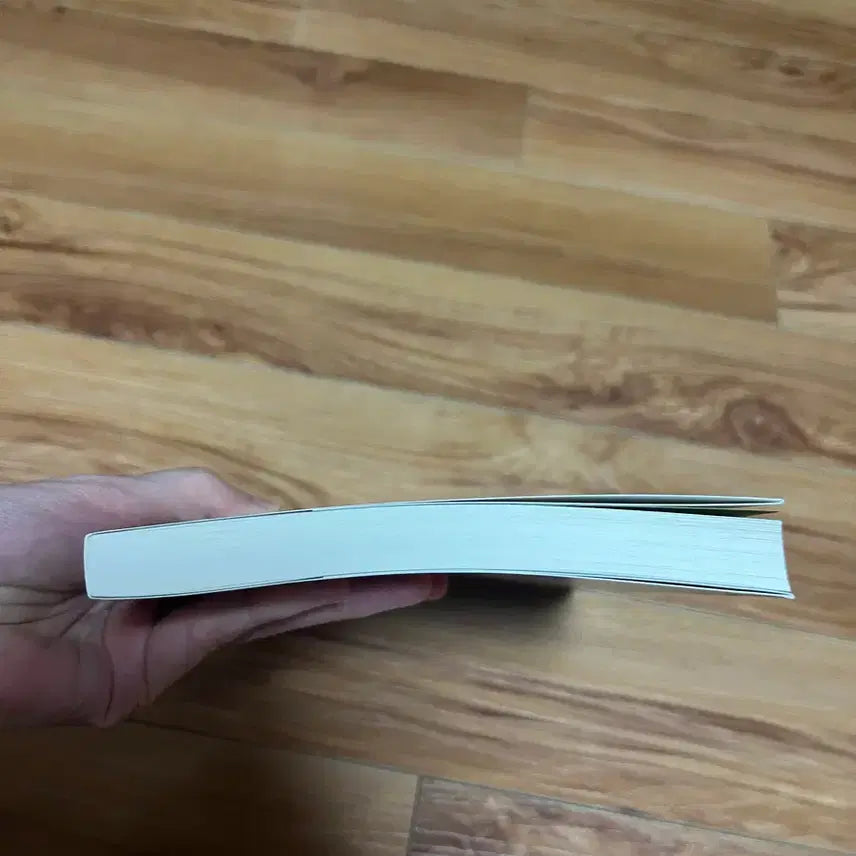 [BUNJANG] The Boy Is Coming Han River / 소년이 온다 한강