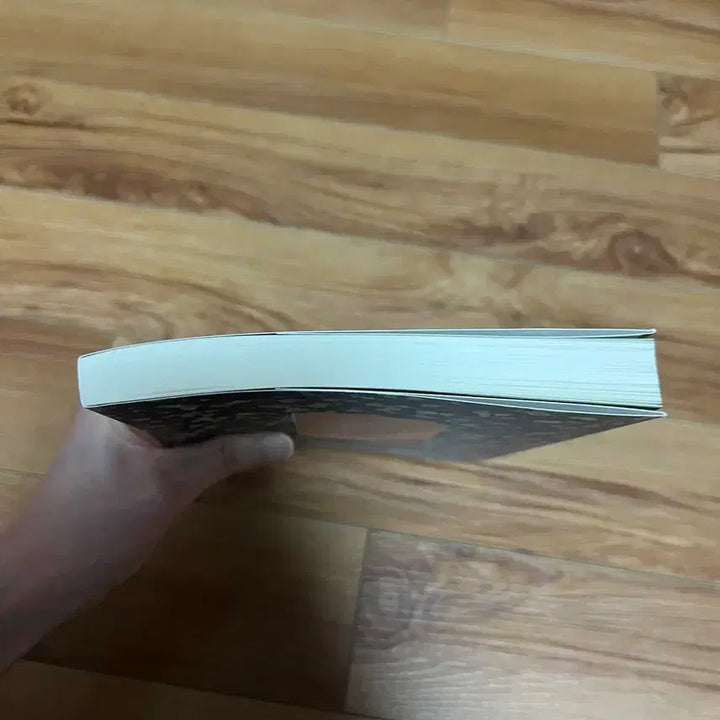 [BUNJANG] The Boy Is Coming Han River / 소년이 온다 한강