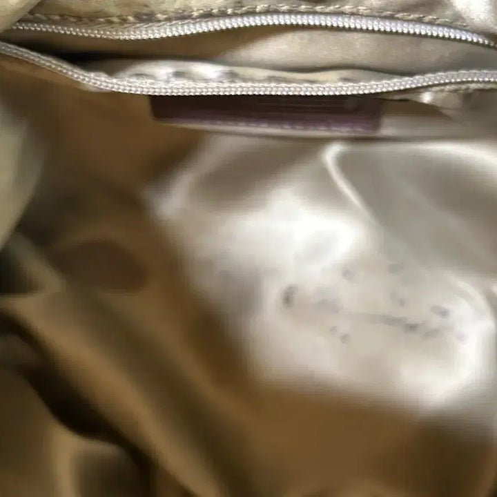 [BUNJANG] Coach Bag / 코치 가방