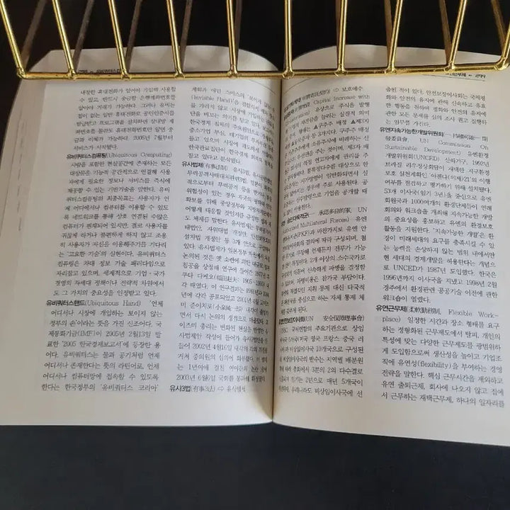 [BUNJANG] Modern Revised Edition Contemporary Terms Dictionary / 최신개정판 현대 시사용어 사전