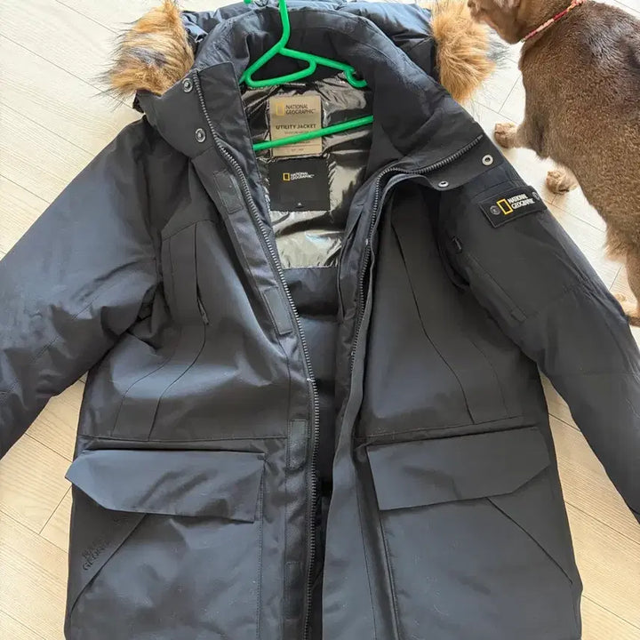 [BUNJANG] National Geographic Padded Jacket / 내셔널지오그래픽 패딩