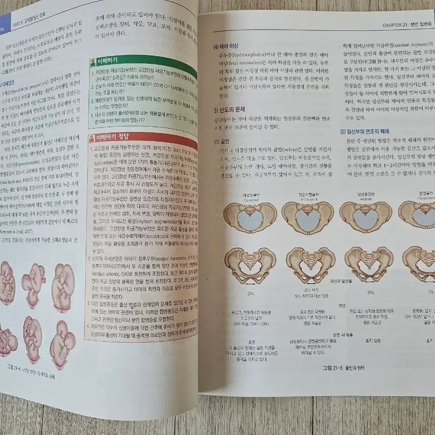 [BUNJANG] Medical Nursing Textbook / 여성건강간호학 여성간호학 학지사 학지사 메디컬 간호학과 전공 책