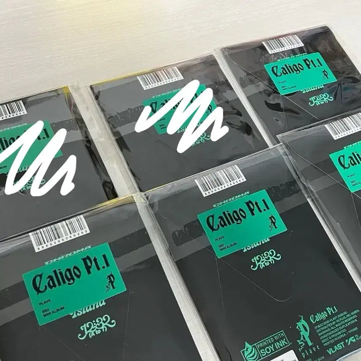 [SOLD OUT] (미개봉) 플레이브 칼리고 포카 앨범