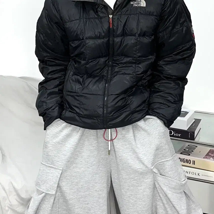[BUNJANG] The North Face Summit Series 800 Black Lightweight Padded Jacket / 노스페이스 써밋시리즈 800 블랙 경량패딩