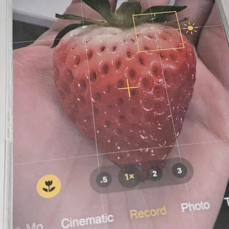 [BUNJANG] The Boyz ARC Diary / 더트프로젝트 ARC 다이어리