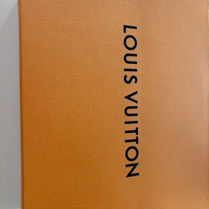 [BUNJANG] Louis Vuitton Men's Handbag / 루이비통가방