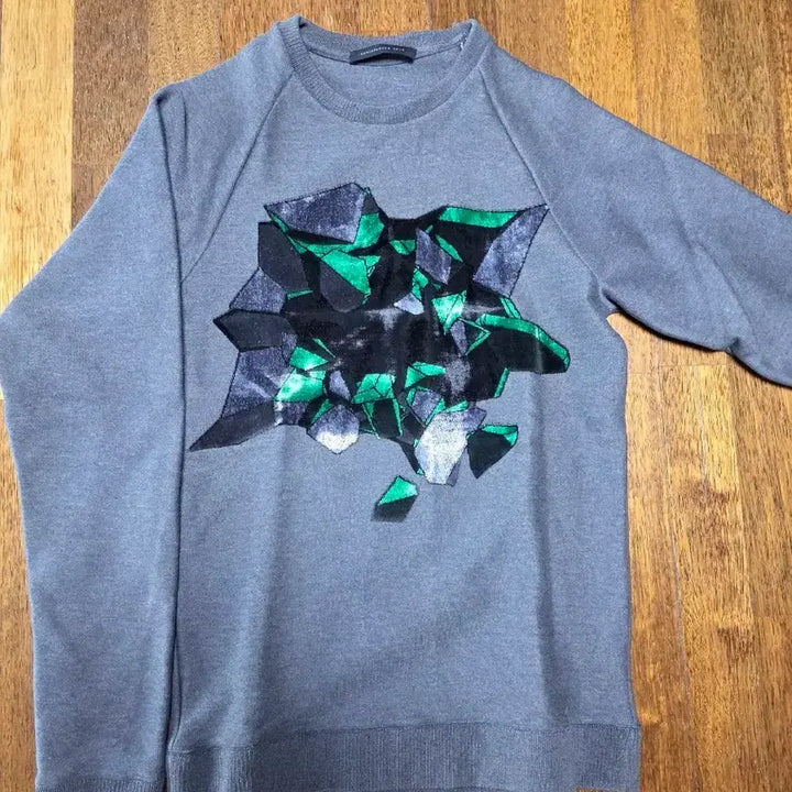 [BUNJANG] Christopher Kane Gray Printed Sweatshirt / 크리스토퍼 케인 맨투맨 티셔츠 그레이