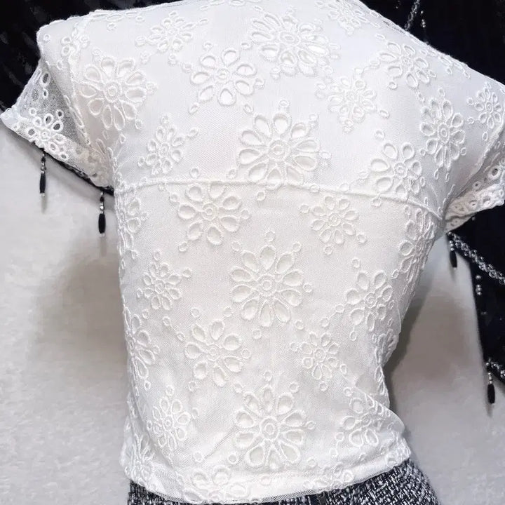 [BUNJANG] Romantic Gyaru Sheer Lace Short Sleeve Top / 로맨틱갸루 로걀 시스루레이스 망사 반팔탑 히메 오네 아게하 헤이세이 섹시
