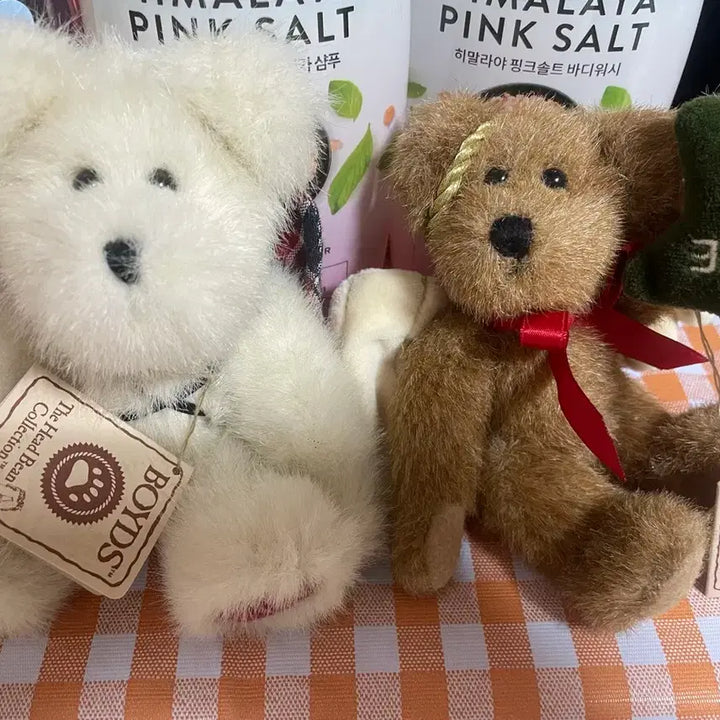 [BUNJANG] Boyzbear Angel Bear Set / 천사 보이즈베어 set