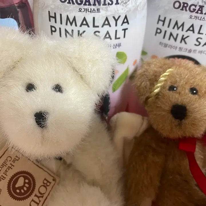 [BUNJANG] Boyzbear Angel Bear Set / 천사 보이즈베어 set