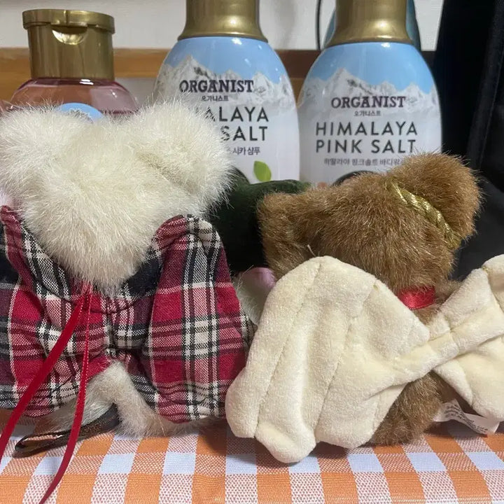 [BUNJANG] Boyzbear Angel Bear Set / 천사 보이즈베어 set